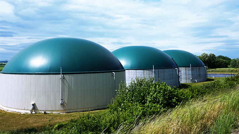 How To Start Biogas Production Business